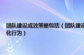 团队建设成效策略包括（团队建设 为了实现团队绩效最大化进行的团队优化行为）