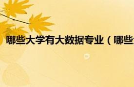 哪些大学有大数据专业（哪些大学有大数据相关内容简介介绍）