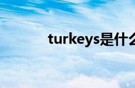 turkeys是什么意思（turkey）