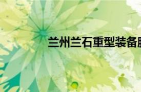 兰州兰石重型装备股份有限公司审计报告