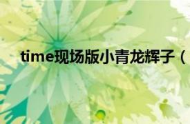 time现场版小青龙辉子（time 小青龙/辉子演唱歌曲）