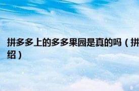 拼多多上的多多果园是真的吗（拼多多多多果园是不是真的相关内容简介介绍）