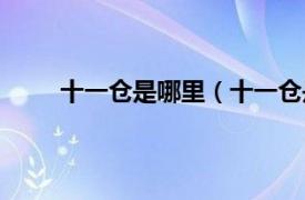 十一仓是哪里（十一仓是什么相关内容简介介绍）