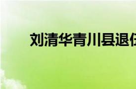 刘清华青川县退伍军人事务局副局长