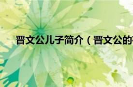 晋文公儿子简介（晋文公的有几个夫人相关内容简介介绍）