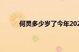 何炅多少岁了今年2020（2022年何炅多少岁）