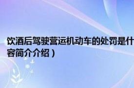 饮酒后驾驶营运机动车的处罚是什么（饮酒后驾驶营运车辆怎么处罚相关内容简介介绍）