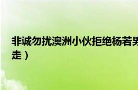 非诚勿扰澳洲小伙拒绝杨若男（非城勿扰澳州专场杨若男被谁牵走）