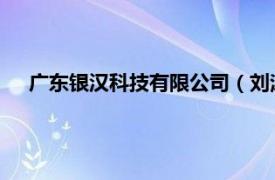 广东银汉科技有限公司（刘泳 广州银汉科技有限公司CEO）