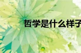 哲学是什么样子的（哲学是什么）