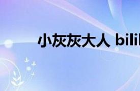 小灰灰大人 bilibili（小灰灰大人）