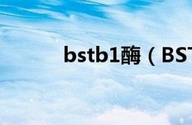 bstb1酶（BST—DNA聚合酶）