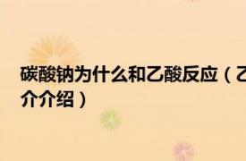 碳酸钠为什么和乙酸反应（乙酸和碳酸钠是什么反应相关内容简介介绍）