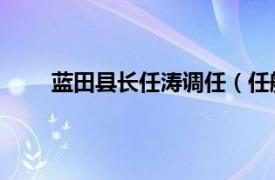 蓝田县长任涛调任（任航 蓝田县人民政府副县长）