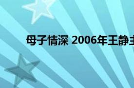 母子情深 2006年王静主演都市奇情电视剧叫什么