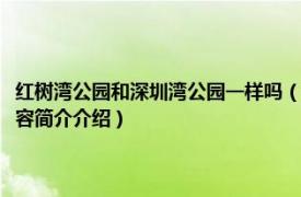 红树湾公园和深圳湾公园一样吗（深圳湾公园和红树林是一个地方吗相关内容简介介绍）