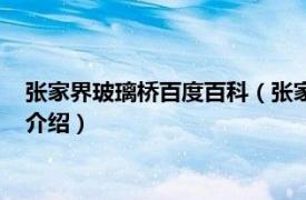 张家界玻璃桥百度百科（张家界玻璃桥有多长多高相关内容简介介绍）