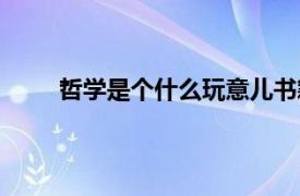 哲学是个什么玩意儿书籍（哲学是个什么玩意儿）