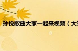 孙悦歌曲大家一起来视频（大家一起来 陶大伟、孙悦演唱歌曲）