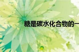 糖是碳水化合物的一种吗（糖 碳水化合物）