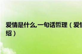 爱情是什么,一句话哲理（爱情是什么一句话哲理相关内容简介介绍）