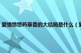 爱情悠悠药草香的大结局是什么（爱情悠悠药草香结局相关内容简介介绍）