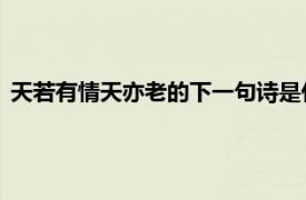 天若有情天亦老的下一句诗是什么（天若有情天亦老 诗词名句）