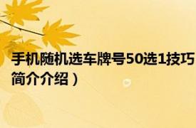 手机随机选车牌号50选1技巧（随机选车牌号50选1技巧相关内容简介介绍）