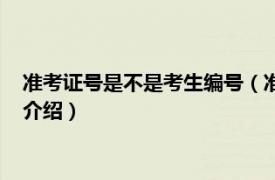 准考证号是不是考生编号（准考证号是考生编号吗相关内容简介介绍）