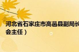 河北省石家庄市高邑县副局长（王大雷 石家庄市高邑县监察委员会主任）