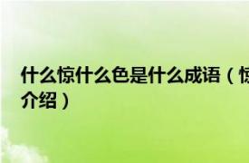 什么惊什么色是什么成语（惊和色的成语什么成语相关内容简介介绍）