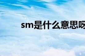 sm是什么意思呀（sm什么意思呢）