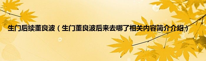 生门后续董良波生门董良波后来去哪了相关内容简介介绍