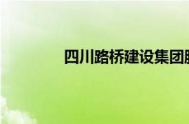 四川路桥建设集团股份有限公司领导班子