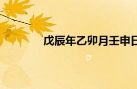 戊辰年乙卯月壬申日（戊申四月廿六日题）