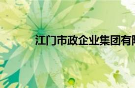 江门市政企业集团有限公司属于哪种经济成分