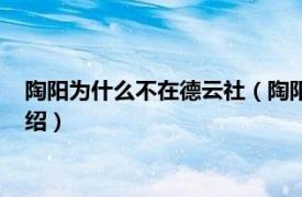 陶阳为什么不在德云社（陶阳为什么离开德云社相关内容简介介绍）