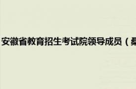 安徽省教育招生考试院领导成员（桑萍 安徽省教育招生考试院办公室主任）