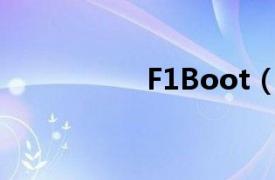 F1Boot（Runbo F1）