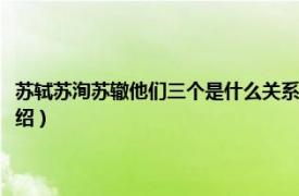 苏轼苏洵苏辙他们三个是什么关系（苏轼苏辙苏洵三者关系相关内容简介介绍）