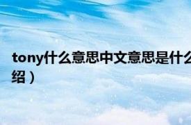 tony什么意思中文意思是什么（tony是什么意思相关内容简介介绍）