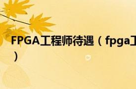 FPGA工程师待遇（fpga工程师月薪多少相关内容简介介绍）