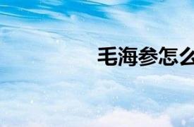 毛海参怎么做（毛海参）