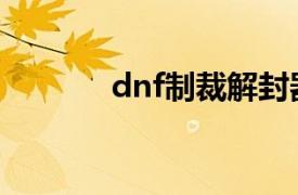 dnf制裁解封器（dnf解封器）