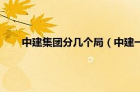 中建集团分几个局（中建一共几个局相关内容简介介绍）