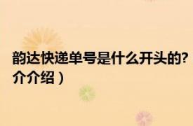 韵达快递单号是什么开头的?（韵达快递单号什么开头相关内容简介介绍）