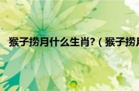 猴子捞月什么生肖?（猴子捞月是什么生肖相关内容简介介绍）