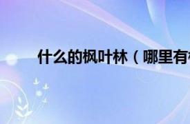 什么的枫叶林（哪里有枫叶林相关内容简介介绍）