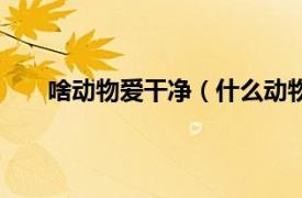 啥动物爱干净（什么动物爱干净相关内容简介介绍）