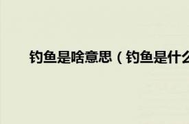 钓鱼是啥意思（钓鱼是什么意思内涵相关内容简介介绍）